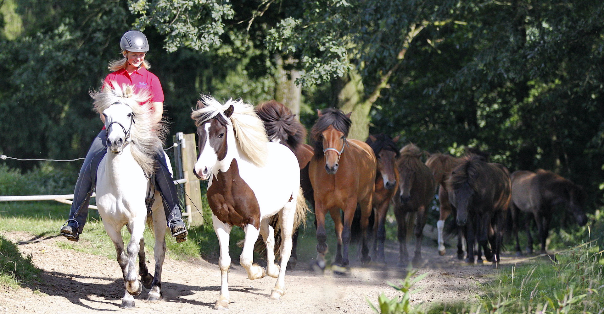Herzlich willkommen auf dem Sonnenhof Kollmeyer